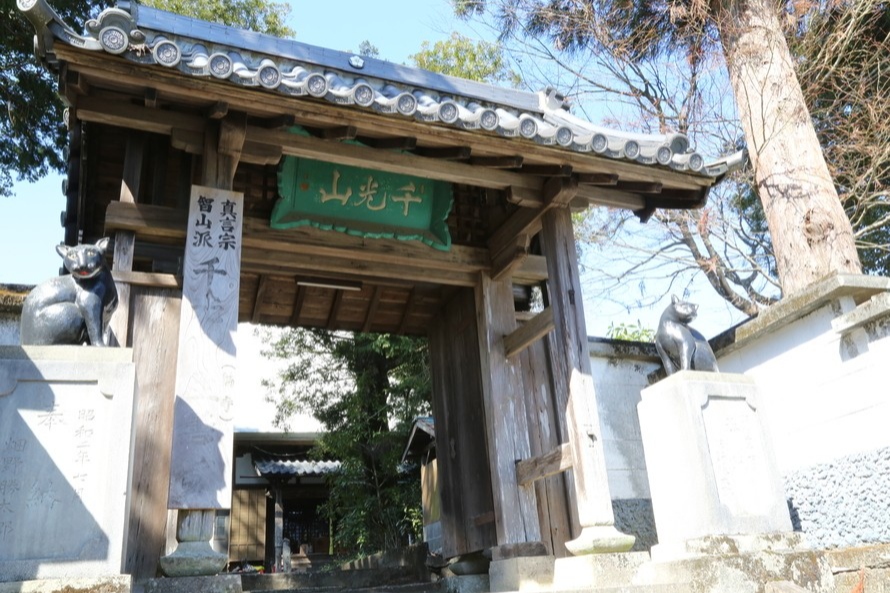 入口で参詣者を見守るこま猫