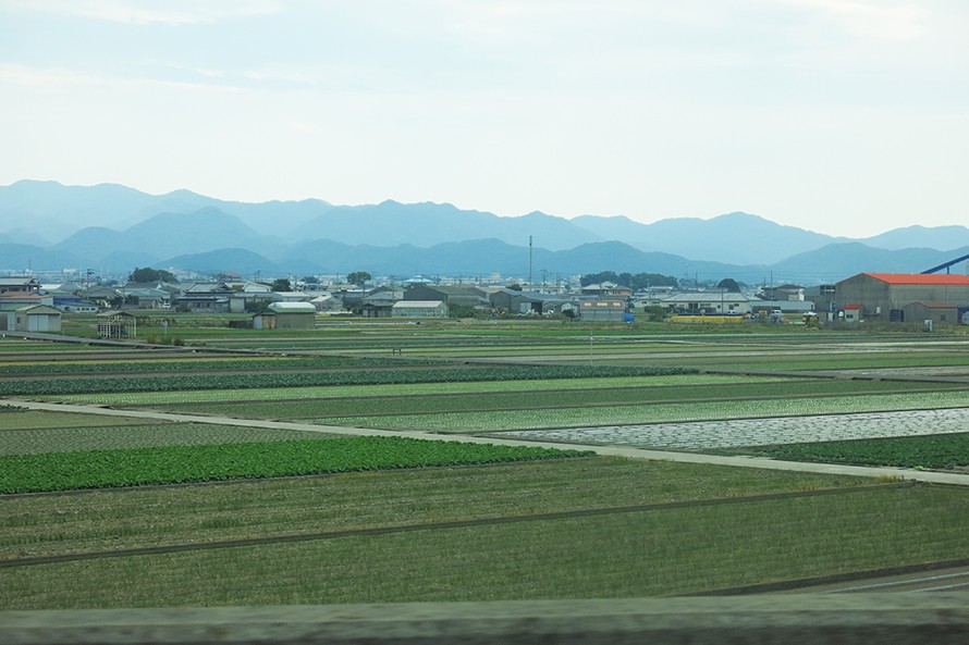 三毛作