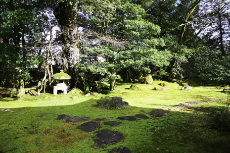 庫裏庭園