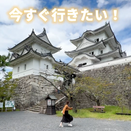 伊賀上野城写真