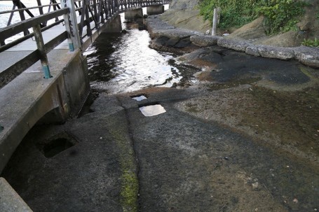丸太跡