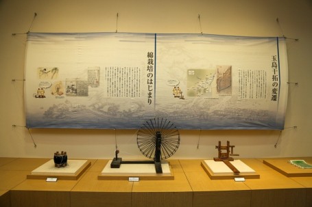 干拓後、綿栽培が始まった