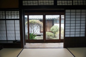 室内から見る中庭