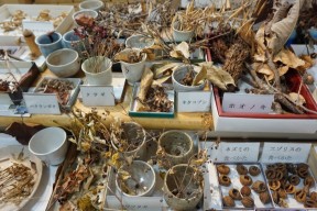 アイヌ文化の森・伝承のコタン