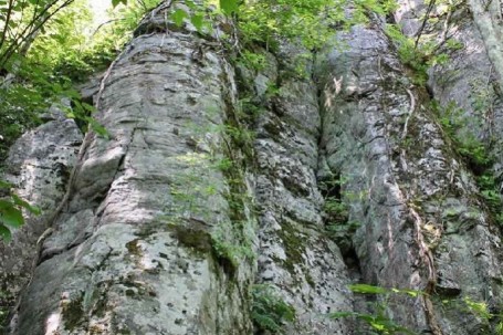 石垣山の岩肌