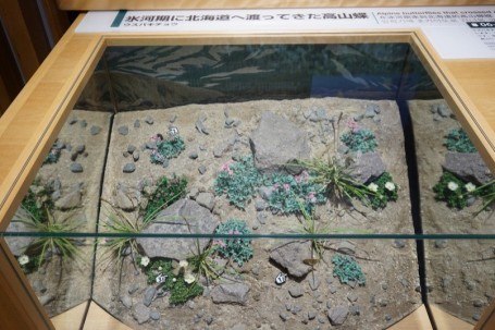展示品