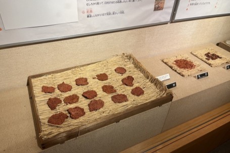 紅餅の実物展示