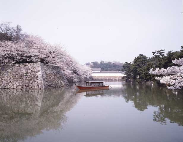 彦根城跡