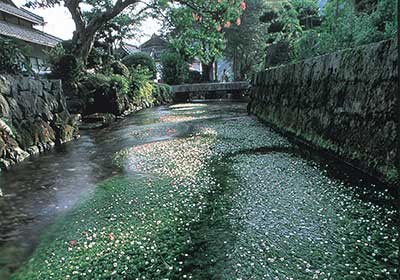 醒井宿