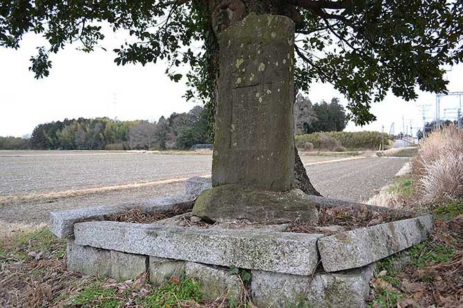 竹川の花園