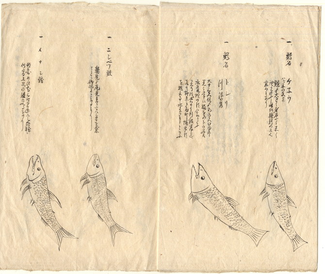 加賀家文書