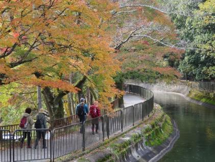 東山自然緑地