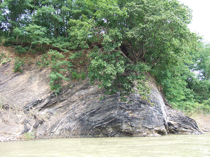 空知川露頭炭層 
