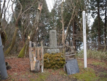金剛山　如来神力品