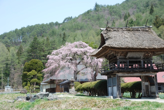 南泉寺鐘楼門