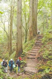 水木沢天然林（水木沢郷土の森）