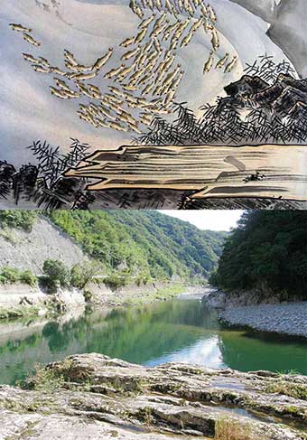 高津川の鮎