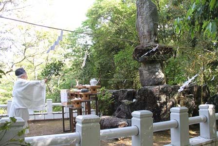 陶祖祭