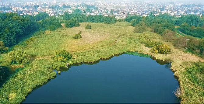 茂林寺沼及び低地湿原 