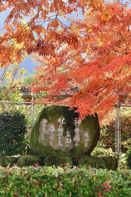 磐瀬の杜