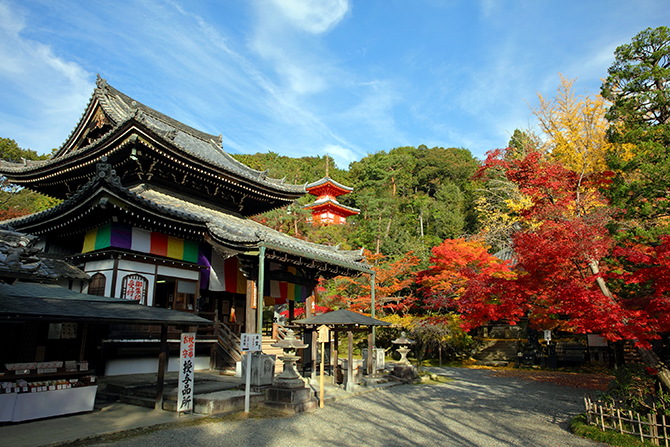 今熊野観音寺　本堂 