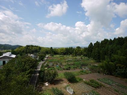 吉野屋遺跡