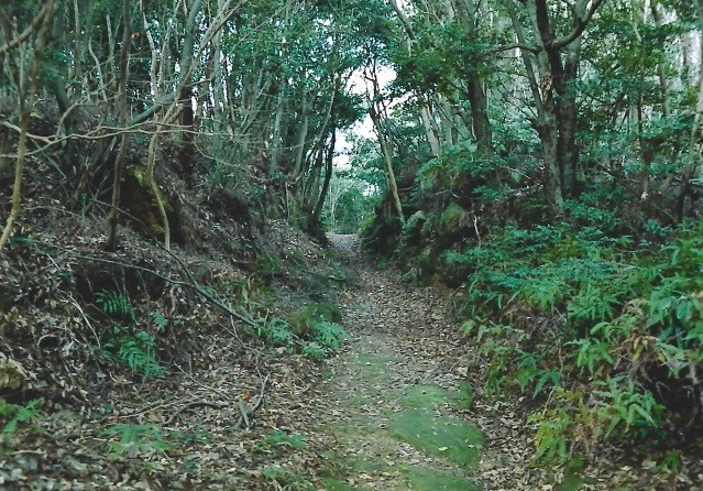 大村街道