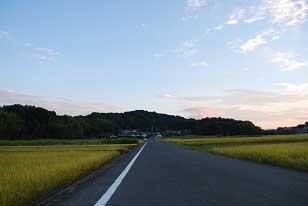 中ツ道