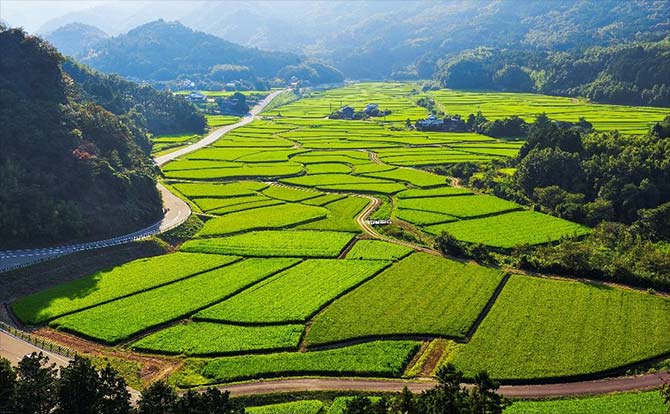 農村景観（田染荘小崎の農村景観）