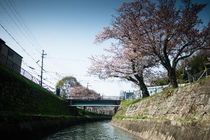 藤尾橋