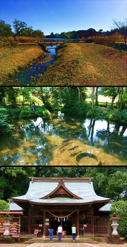 古墳への小径（記紀の道）