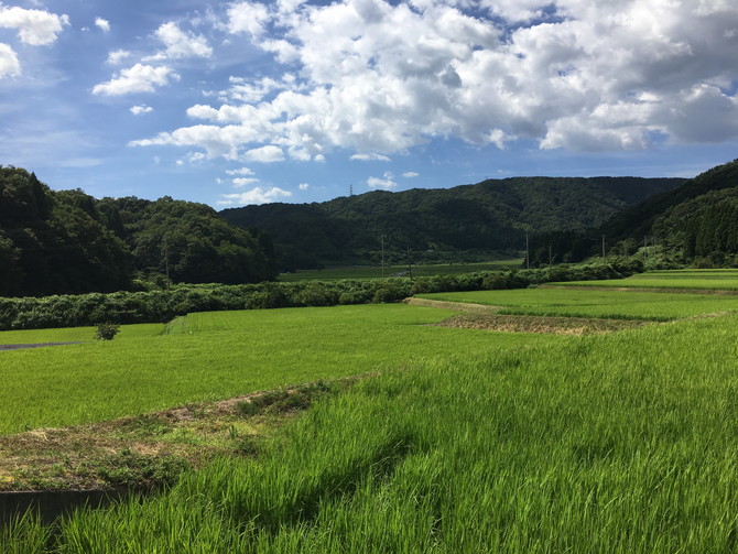 葉原築堤