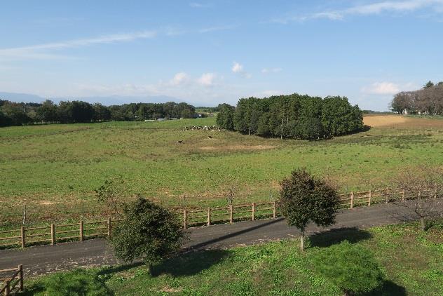大田原市大野放牧場