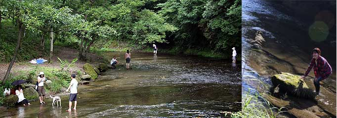 大谷渓谷（一目八景と深耶馬渓探勝道）