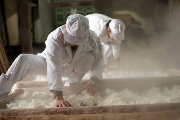 菊池川流域の酒造り　千代の園酒造