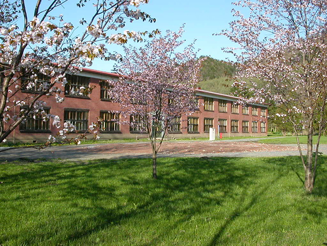 旧頼城小学校（星槎大学）校舎及び体育館 