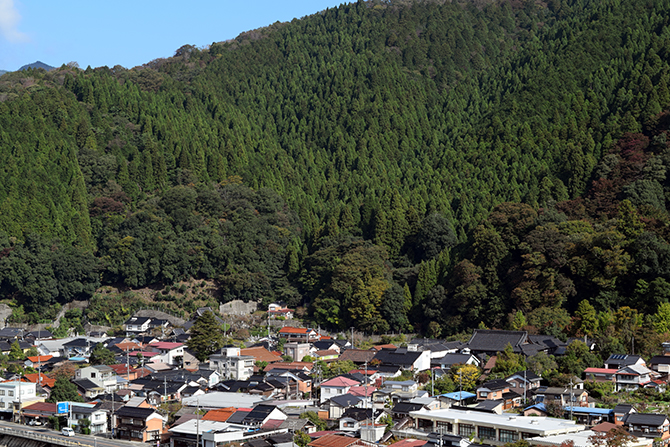 智頭の林業景観 