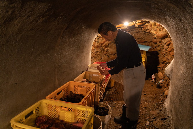 ダイコダテ・芋穴<br>（冬季の食料保存の知恵）