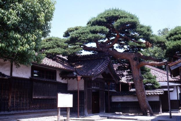 本間家本邸