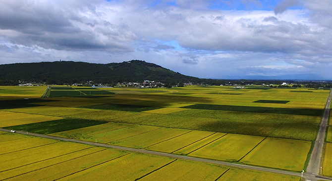 箟岳山 