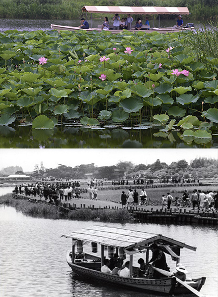 城沼の渡し舟 