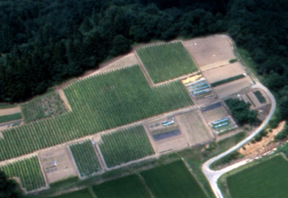 笹原遺跡