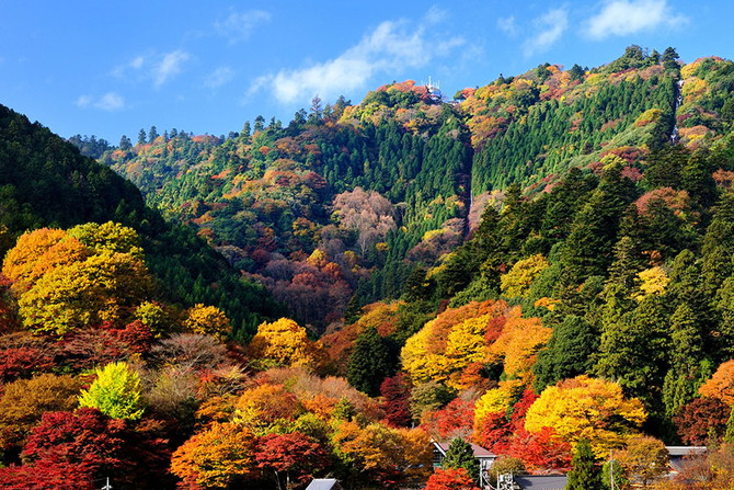 高尾山