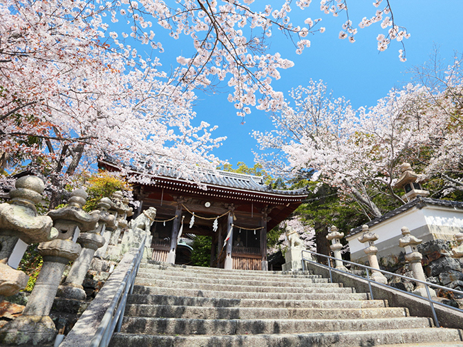 大避神社 