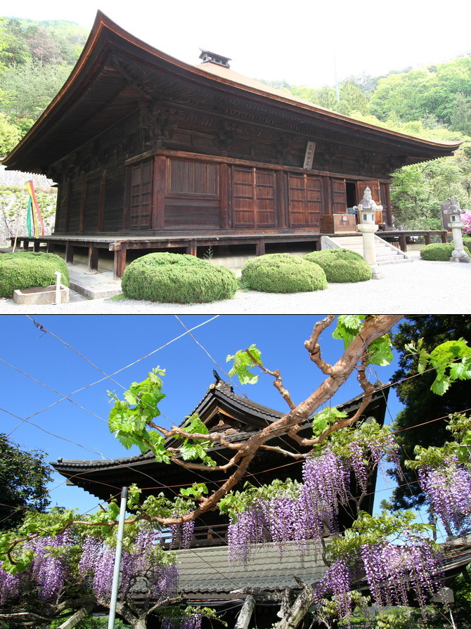 柏尾山大善寺