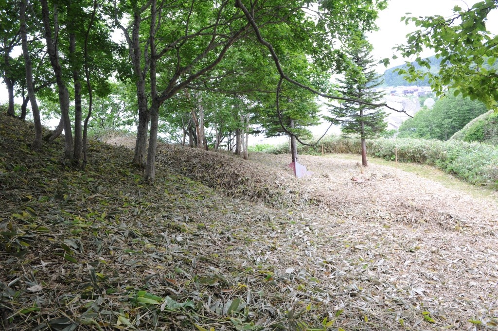 タチニウス北岸チャシ跡