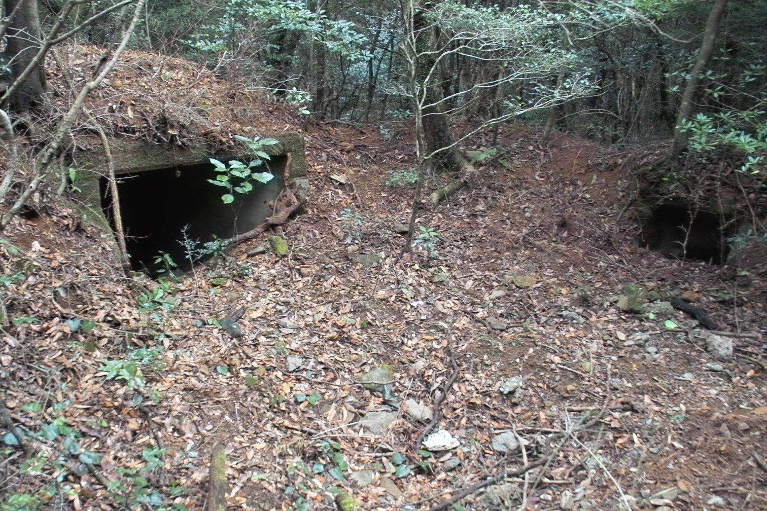 八天岳高射砲台跡（海軍防備隊、警備隊砲台群）