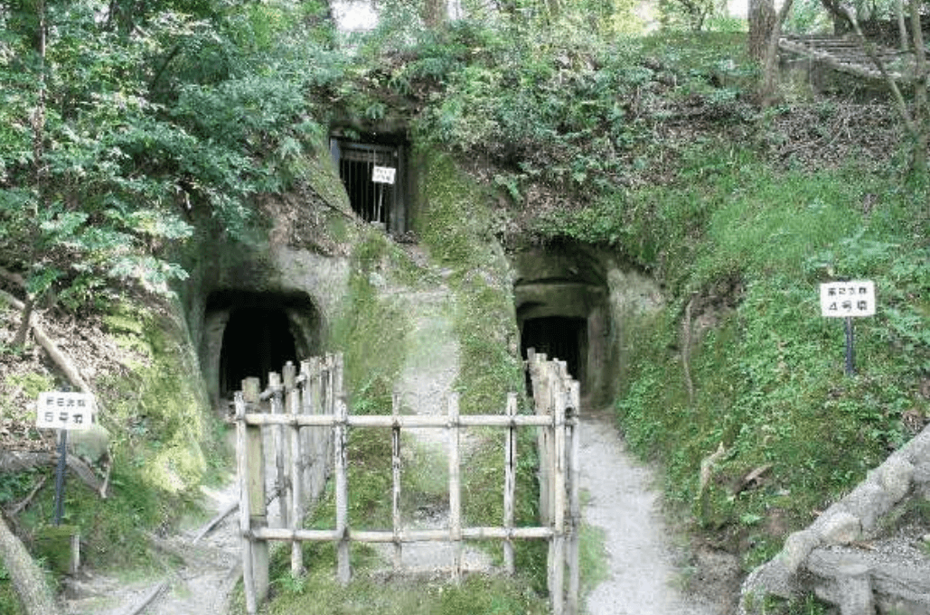 史跡高井田横穴公園