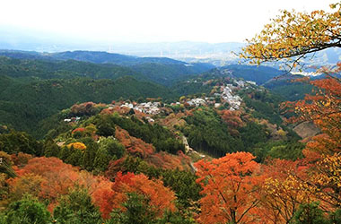 画像：花矢倉展望台