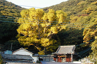 画像：源寿院